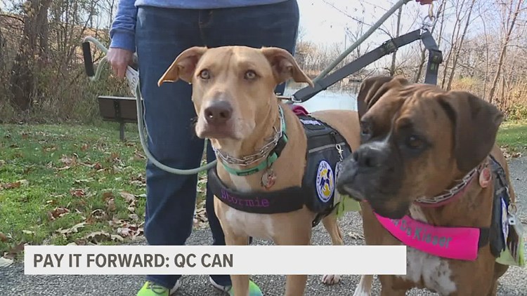 Pay It Forward: Training man's best friend for therapy