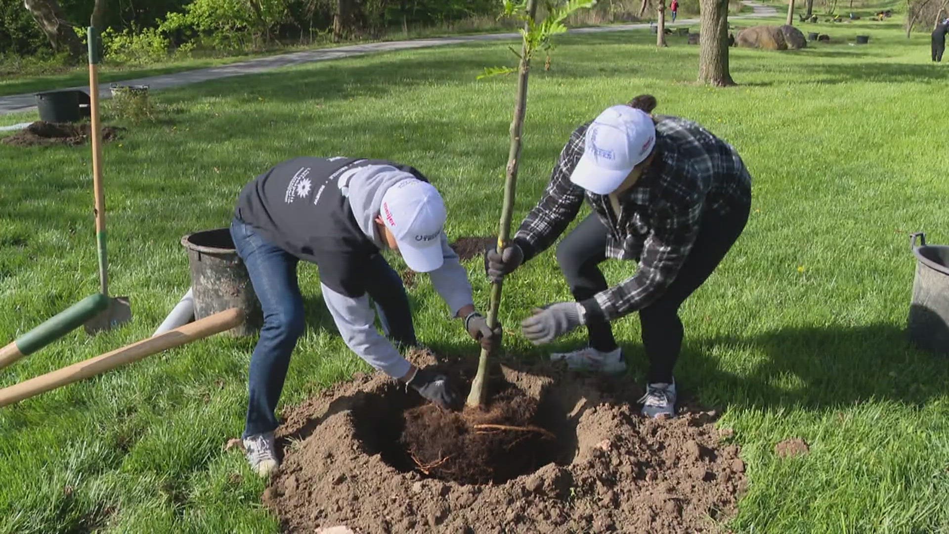 On this Earth Day players from the Indianapolis Colts are taking their number of touchdowns from last season and turning them into planted trees.