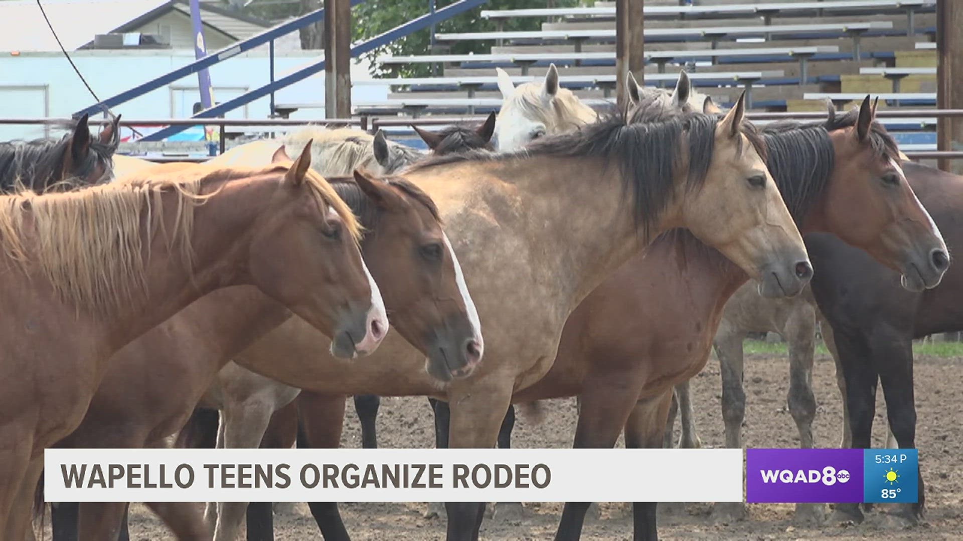 For more than 40 years, students in the Wapello FFA have made the rodeo a staple of their hometown.