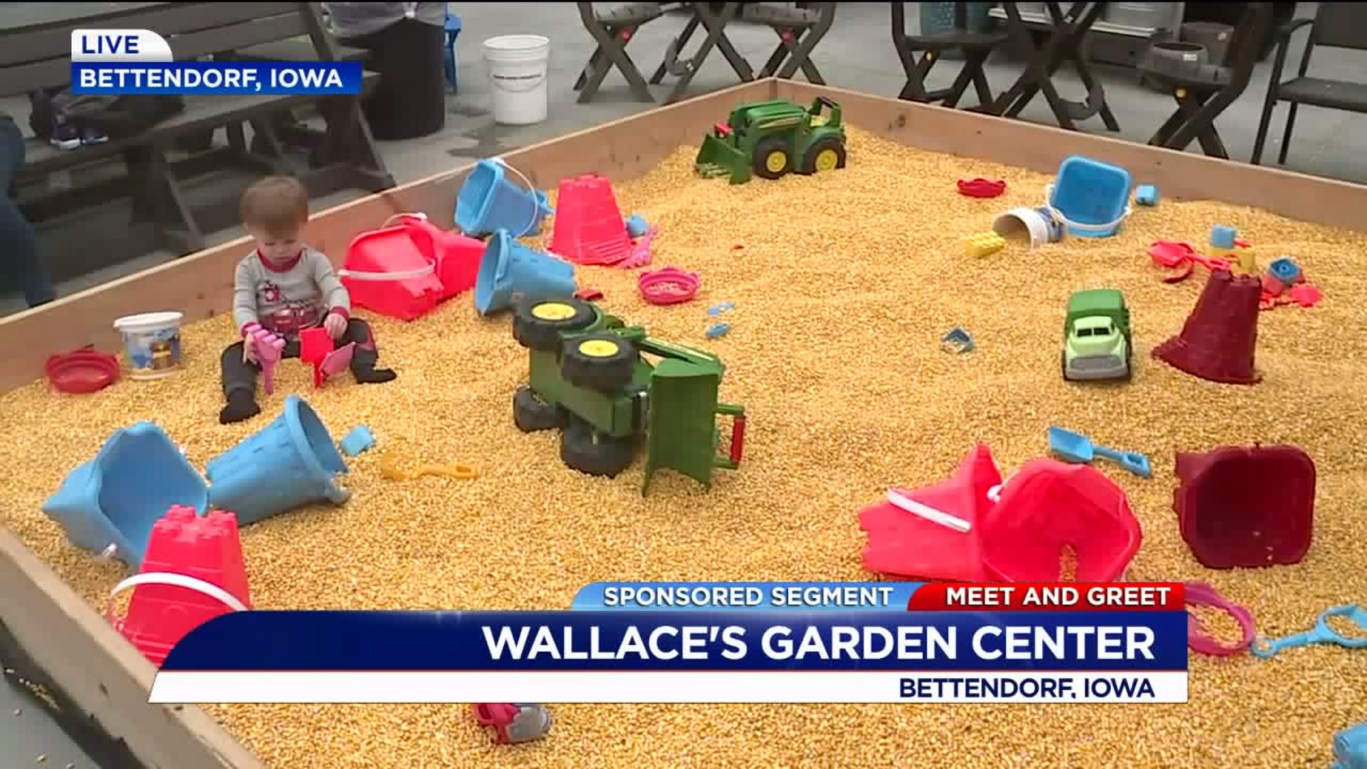 Meet & Greeet at Wallace`s Garden Center in Bettendorf