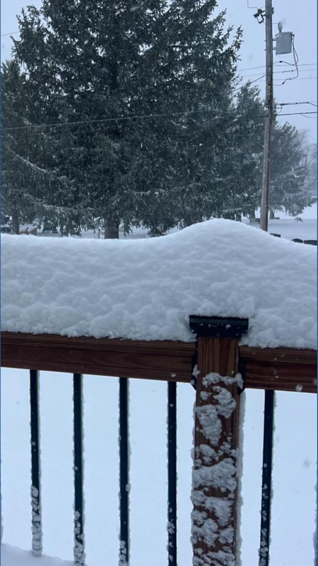 Snowfall totals: Winter storm blankets the QC with nearly a foot in the ...