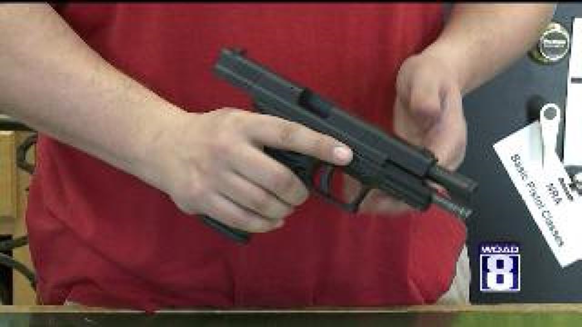 Iowa and Illinois\' Participation in the Gun Control Debate