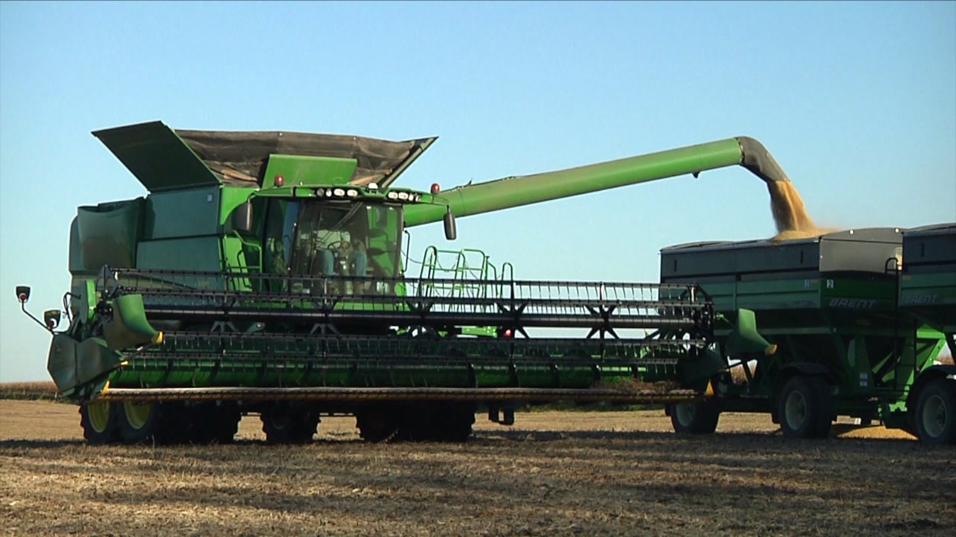 Taylor Ridge farmer weighs in on U.S.-China soybean trade truce