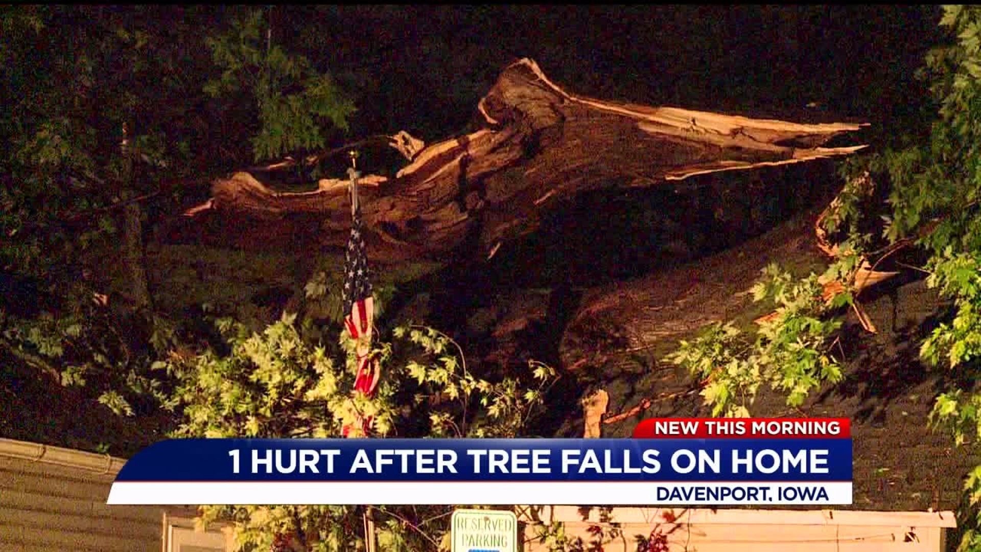 One Hurt After Tree Falls on Home