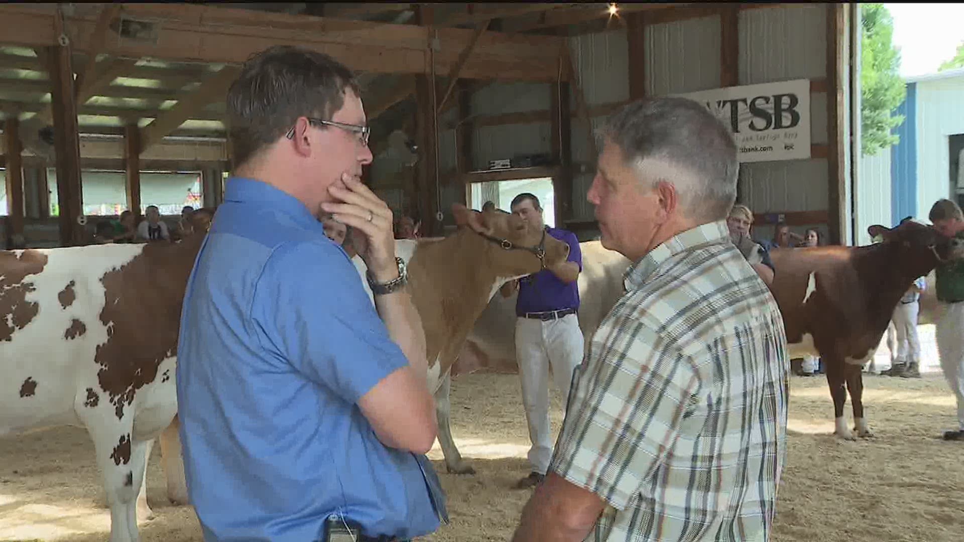 Participants in the 4-H program say they've been preparing several months for competition.