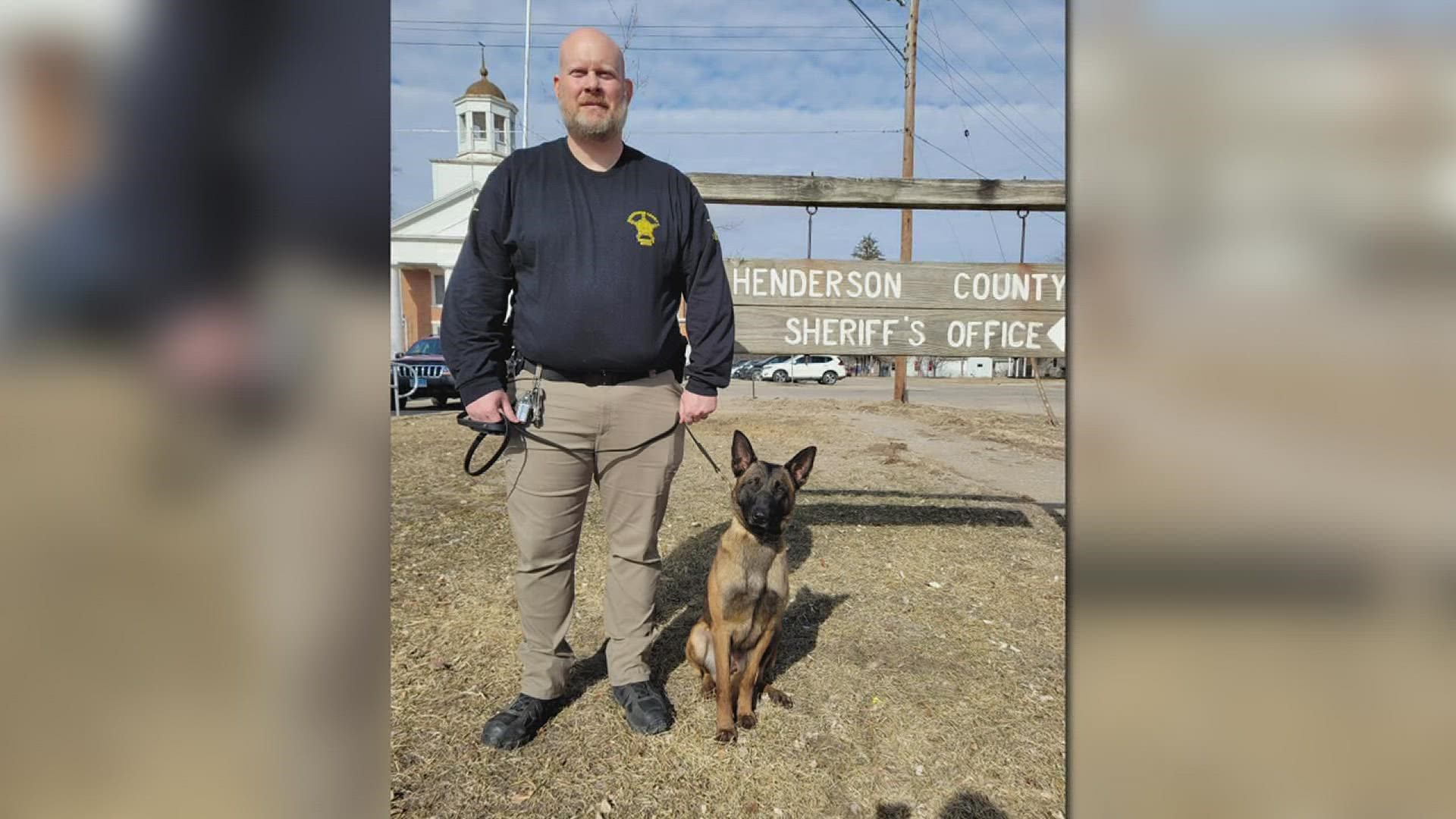 Montana, a 1.5-year-old Belgian Malinois, is in the process of completing her 10-week K9 training.