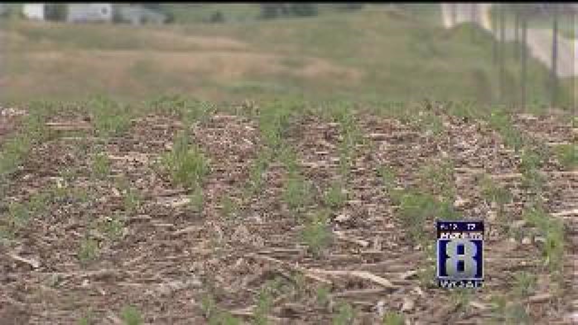 Ag in the AM: More Rain Needed