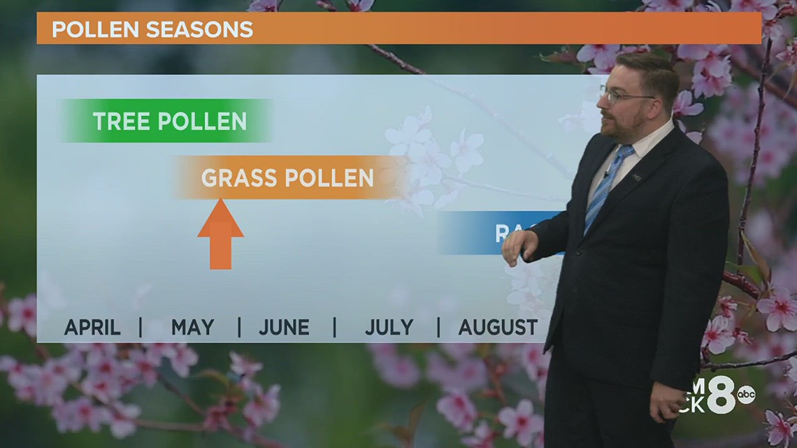 Ask Andrew: How pollen is measured