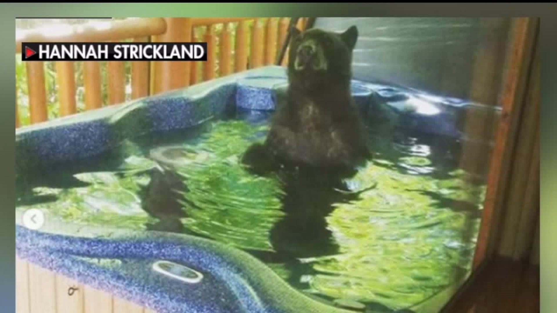 Photos show bear enjoying a soak in hot tub at Tennessee cabin