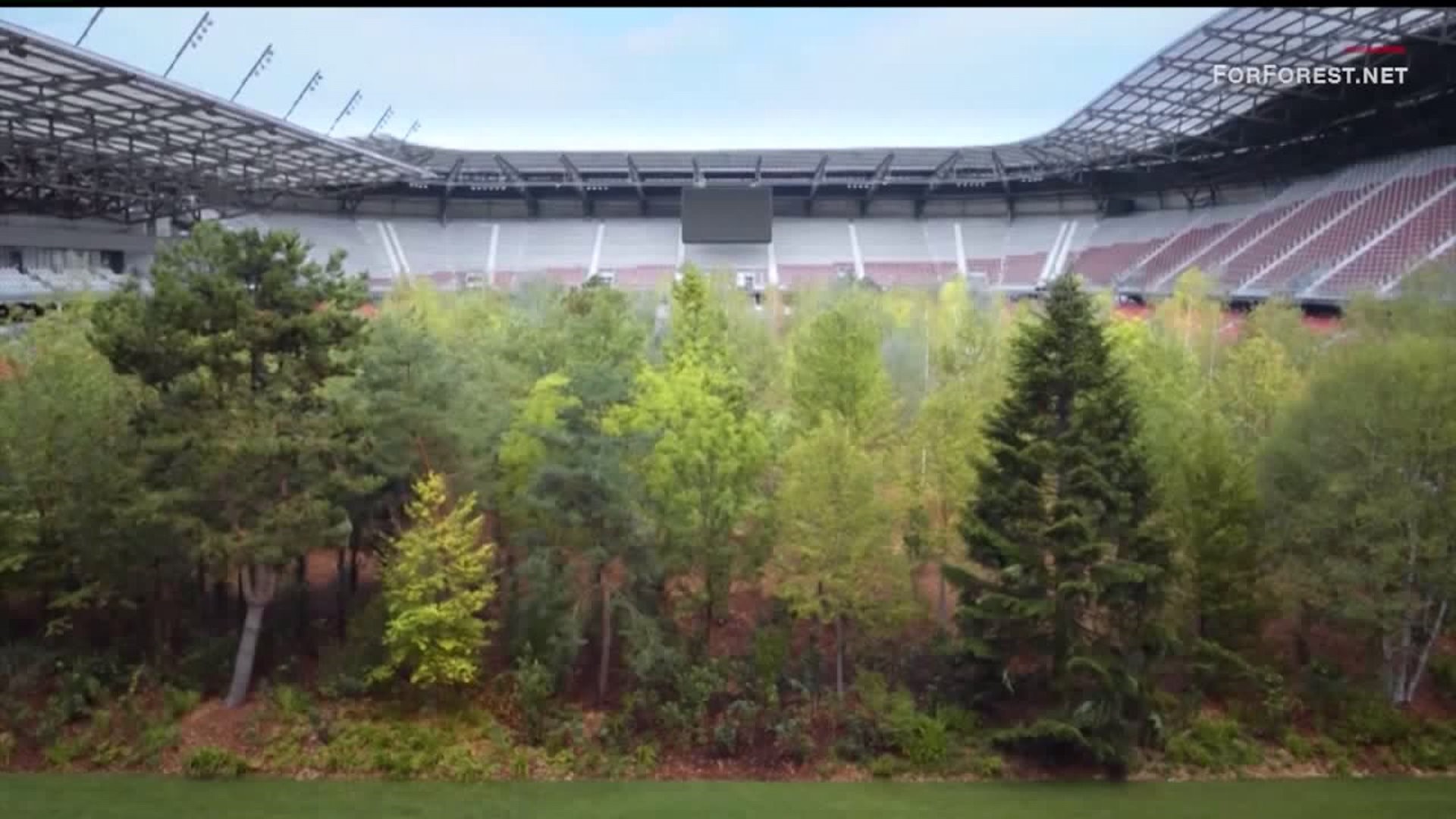 Austrian football stadium filled with trees