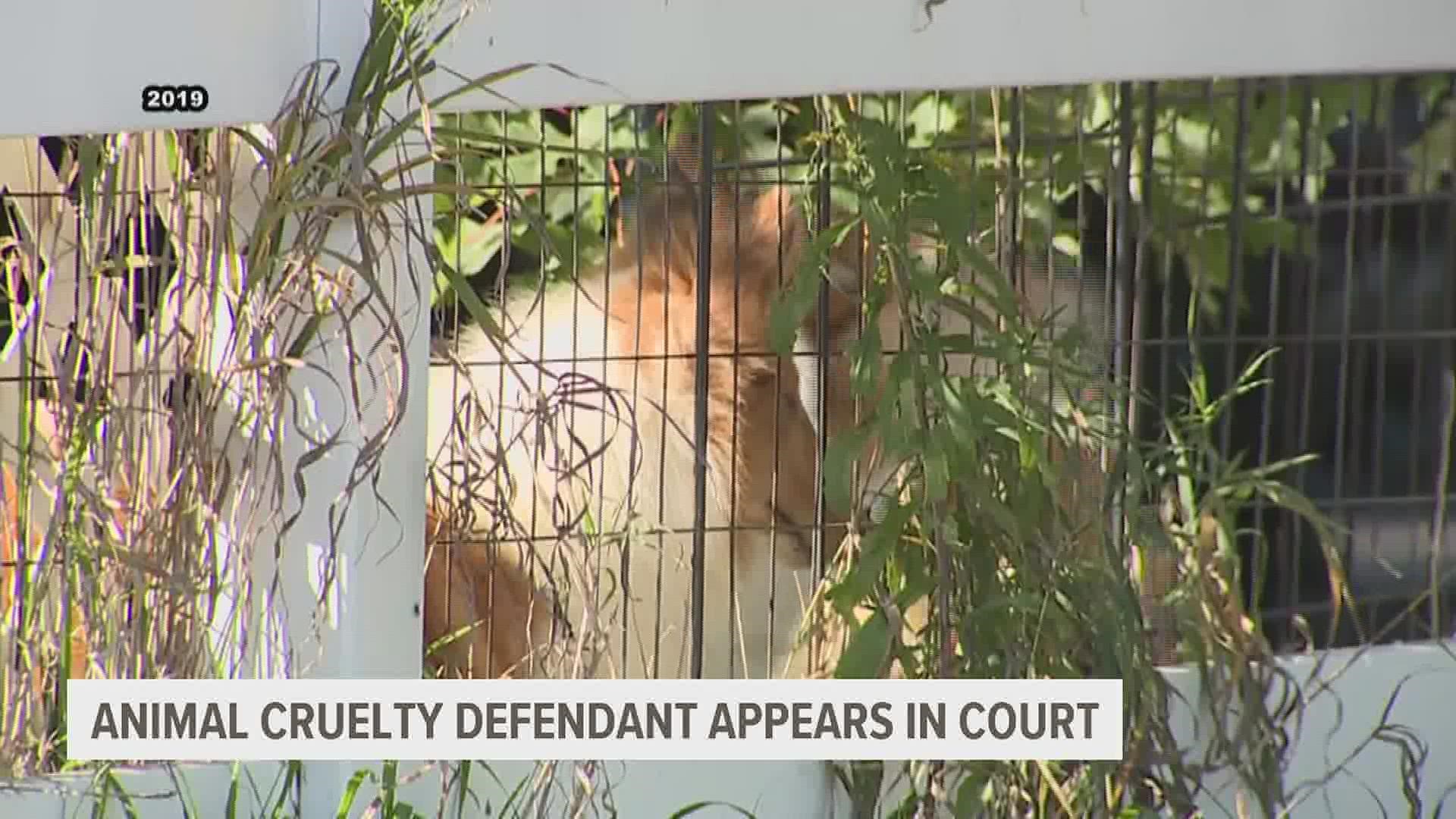 The Sherrard woman facing animal cruelty whose 198 dogs were rescued could see them permanently taken from her if the judge agrees to the prosecution's request.