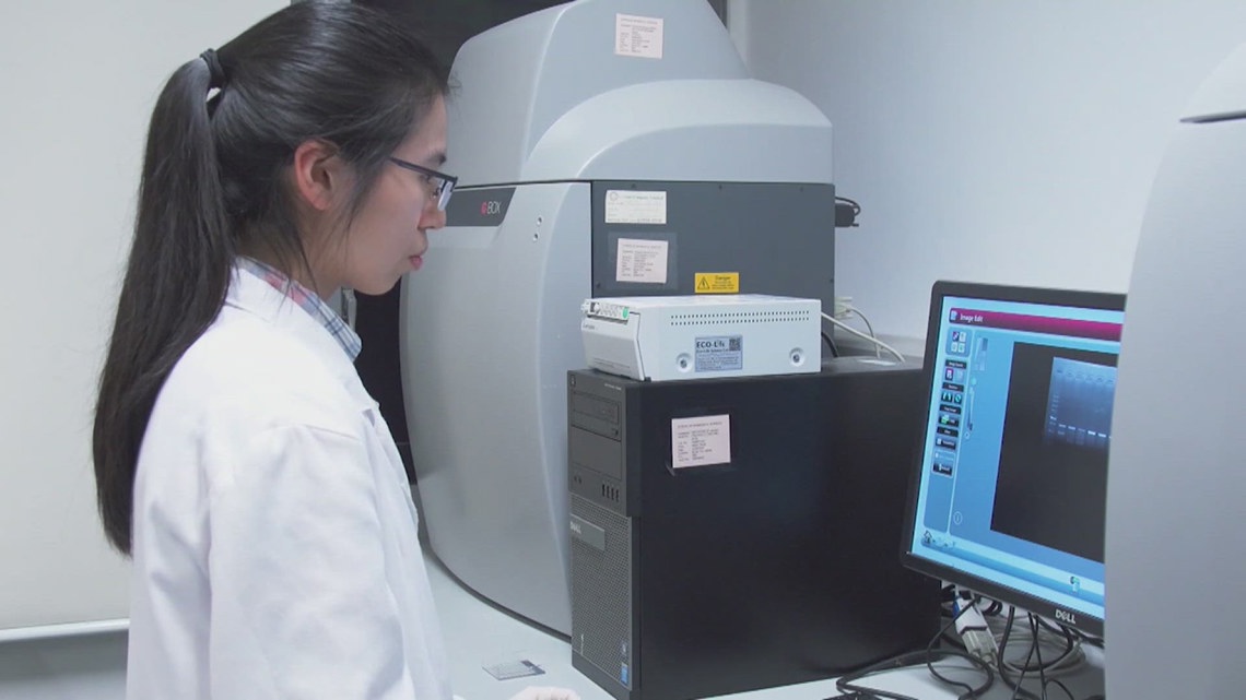 Health researchers make progress on understanding cholesterol