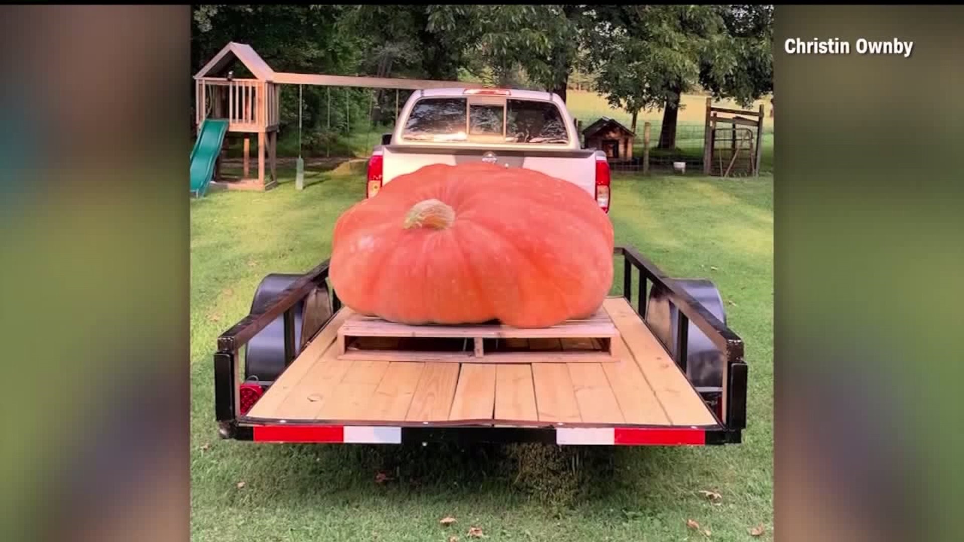 He grew a 910-pound pumpkin and then used it as a boat