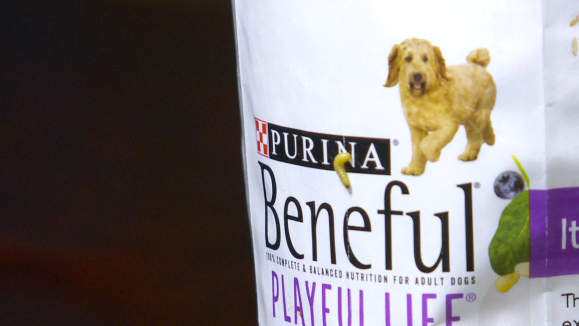 Purina responds after Utah family finds ‘full bag of maggots’ in pet