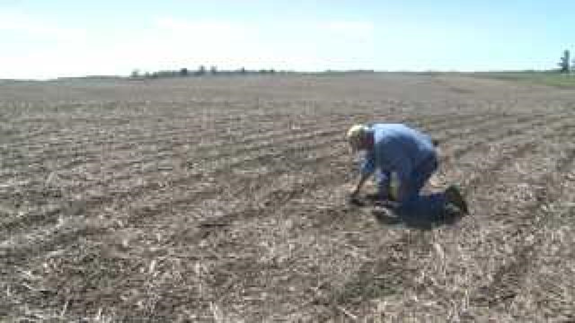 Rock Island County corn planting faces weather delays