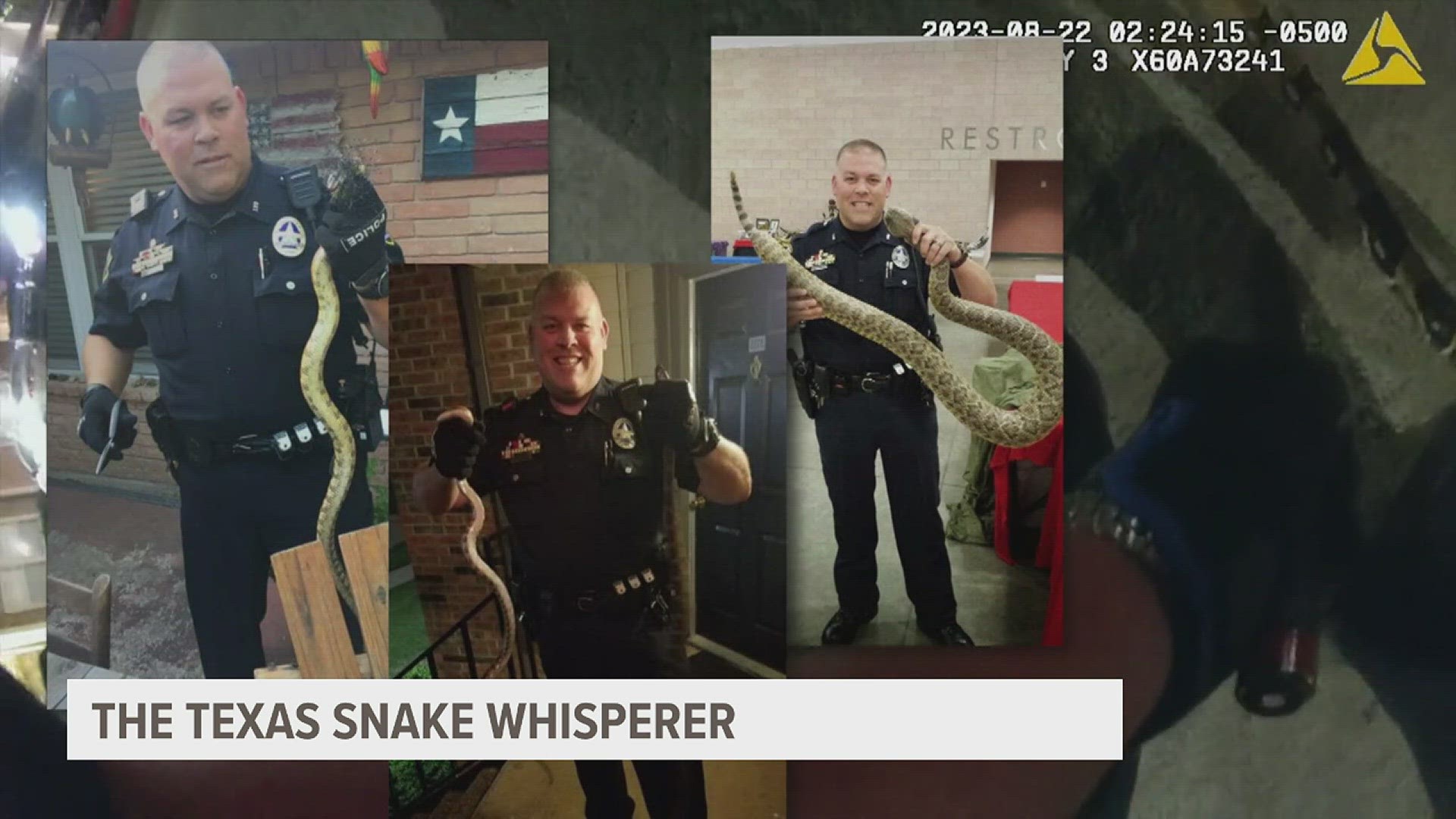 Texas officer Stephen Burres is known by many nicknames in the department, and professional snake whisperer is one of them.
