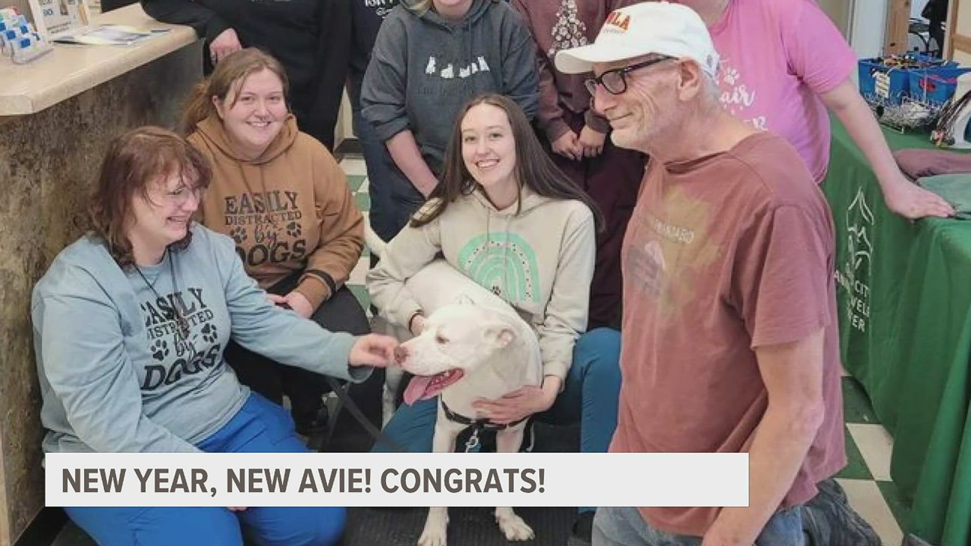 News 8 viewers were first introduced to Avie back in November, when our reporter Cesar Sanchez profiled the pup waiting for his furrever home.