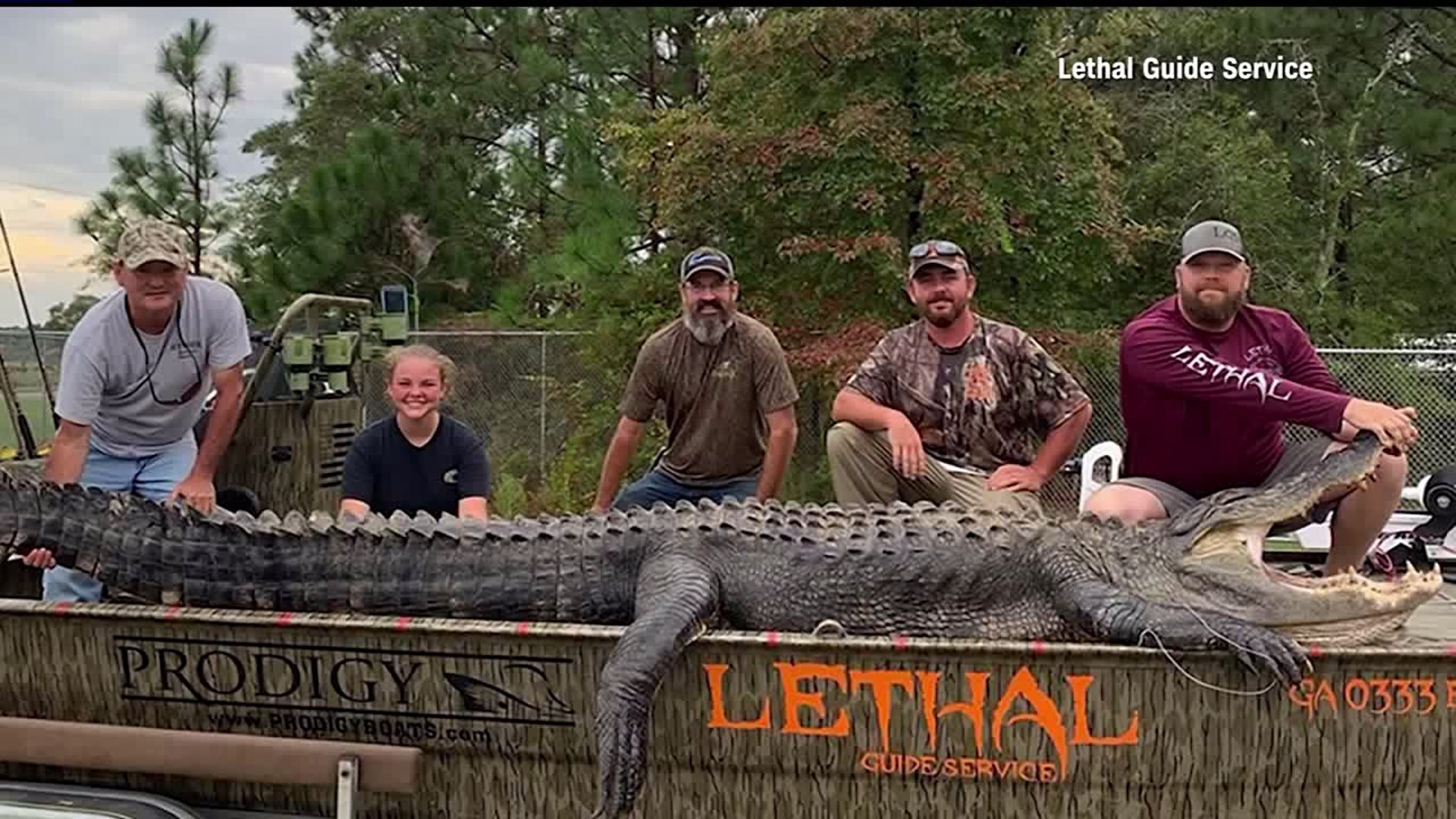 14-foot long alligator caught in Georgia