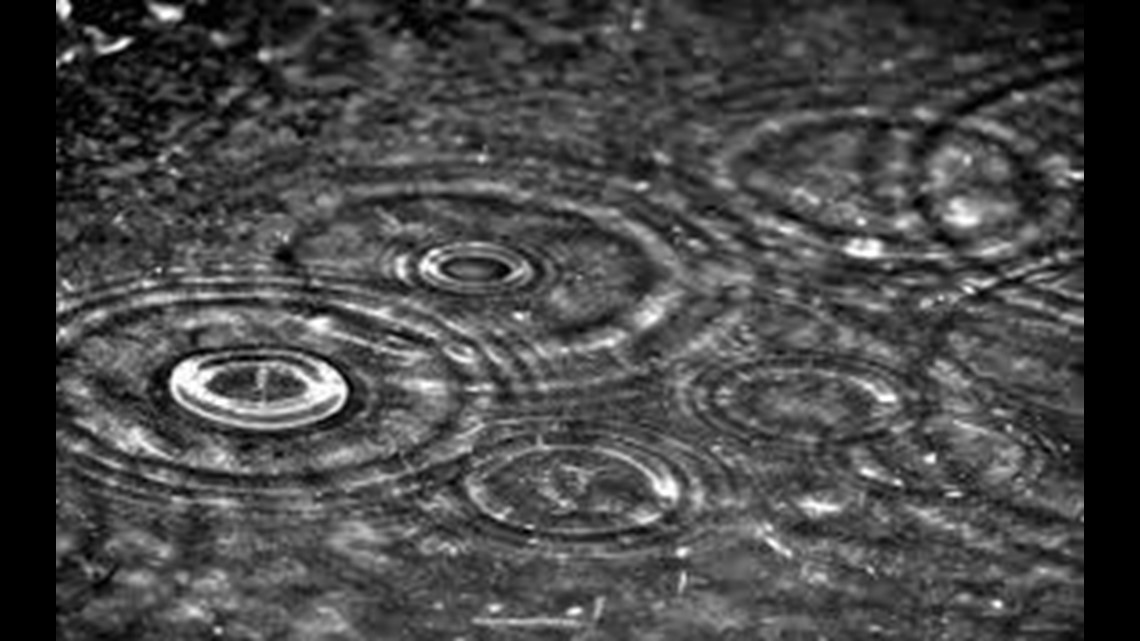 Video Explains Why Rain Smells So Good