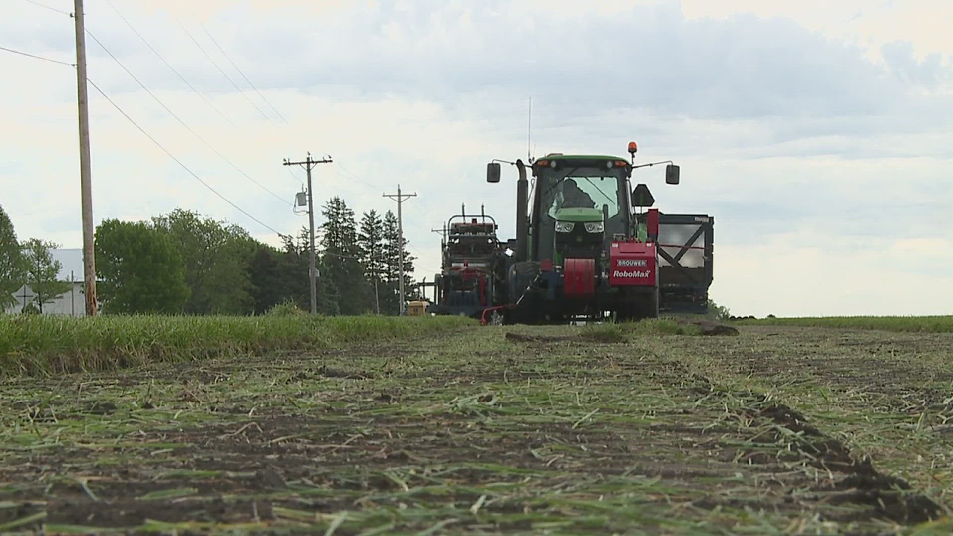 Davenport-based Seven Cities Sod says they've been able to begin harvesting earlier than ever before in their history.