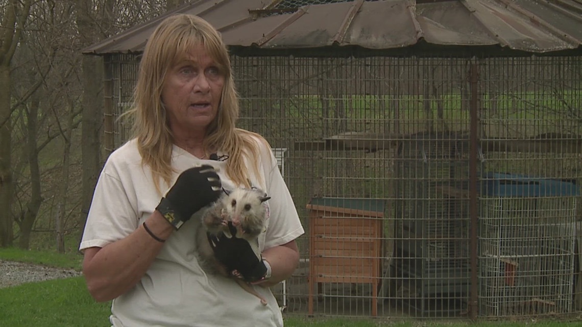 Pay It Forward l Rock Island County woman rescues wildlife animals in need