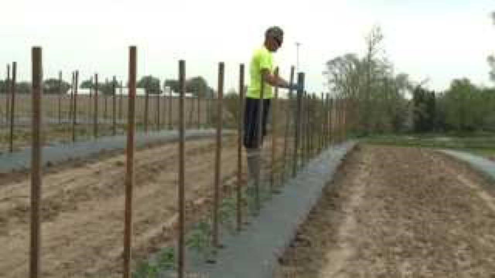 Weather causing small delays in spring planting