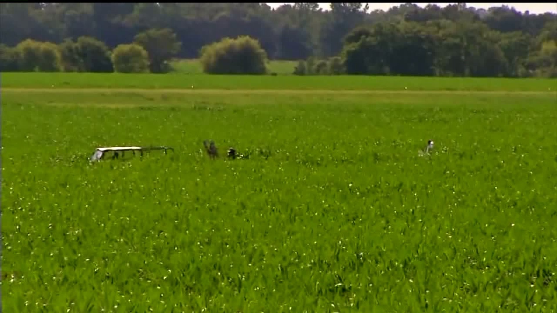 Pilot killed in plane crash near Eastern Iowa airport is identified