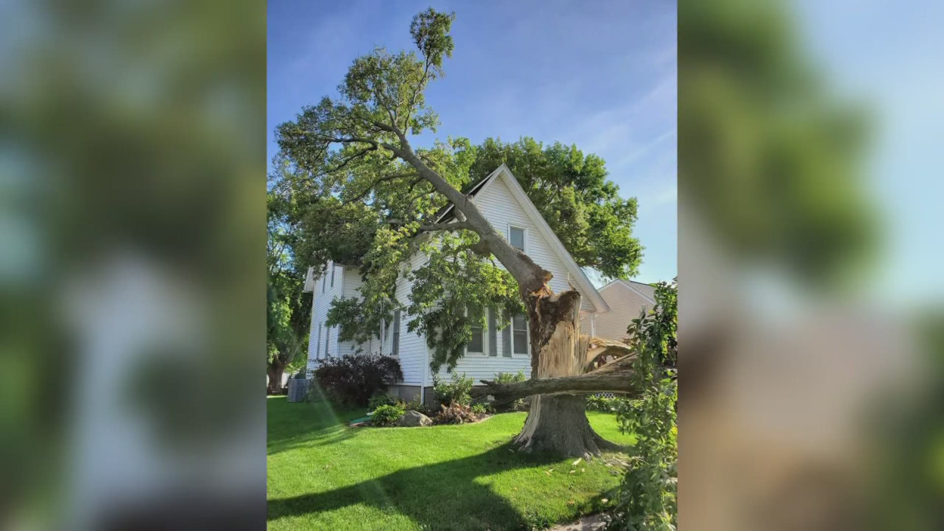One local tree company says to be careful, since the cleanup can be equally as dangerous to you, and your wallet, as the storm.