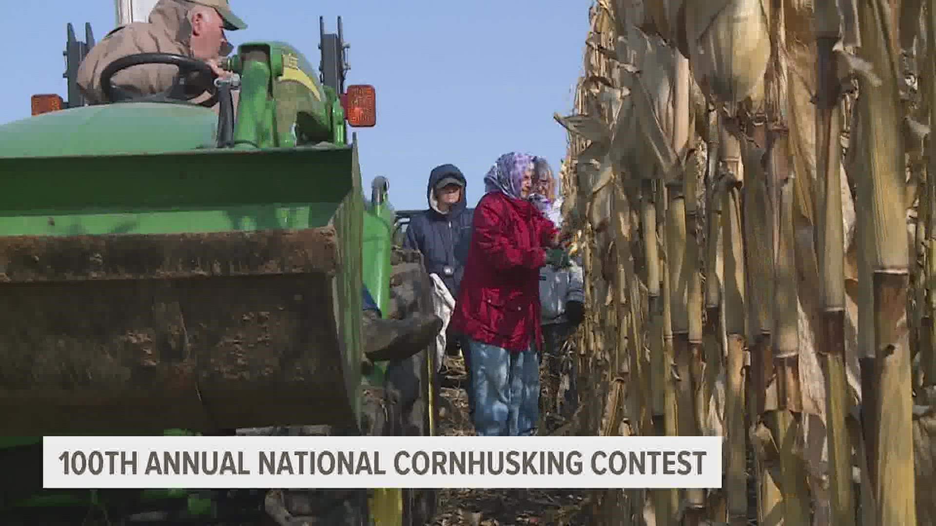 National cornhusking competition in Good Hope, Illinois