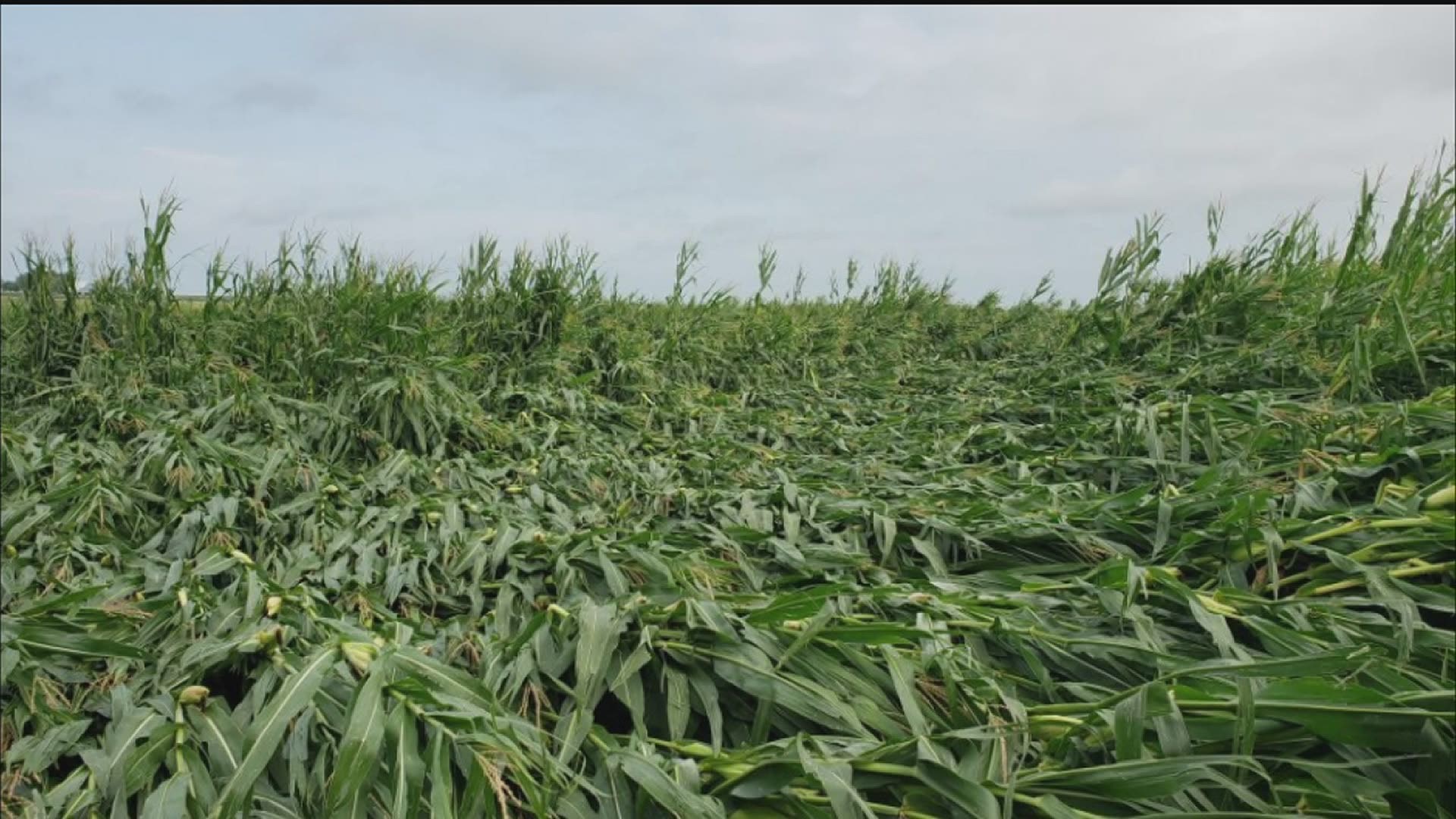 Iowa Farms Suffer from Severe Storm Damage