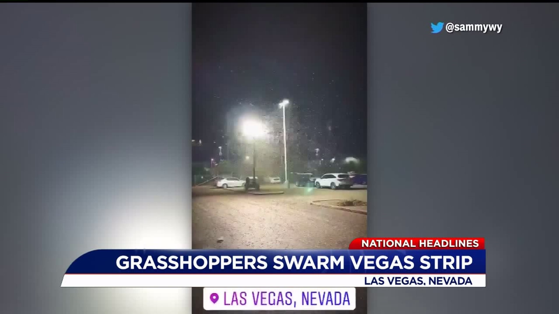 Grasshoppers invade Las Vegas