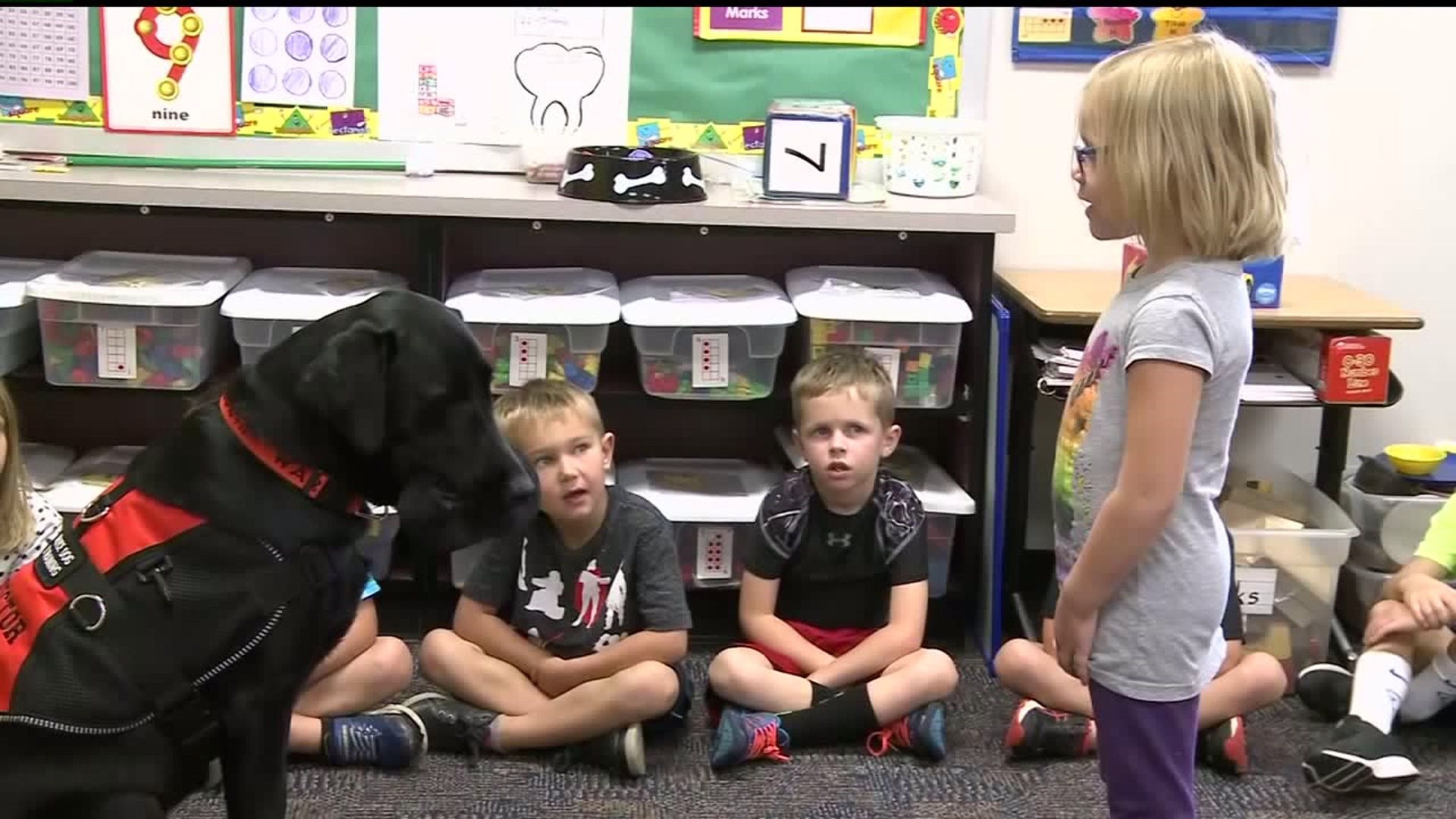 dog teaches students a lesson
