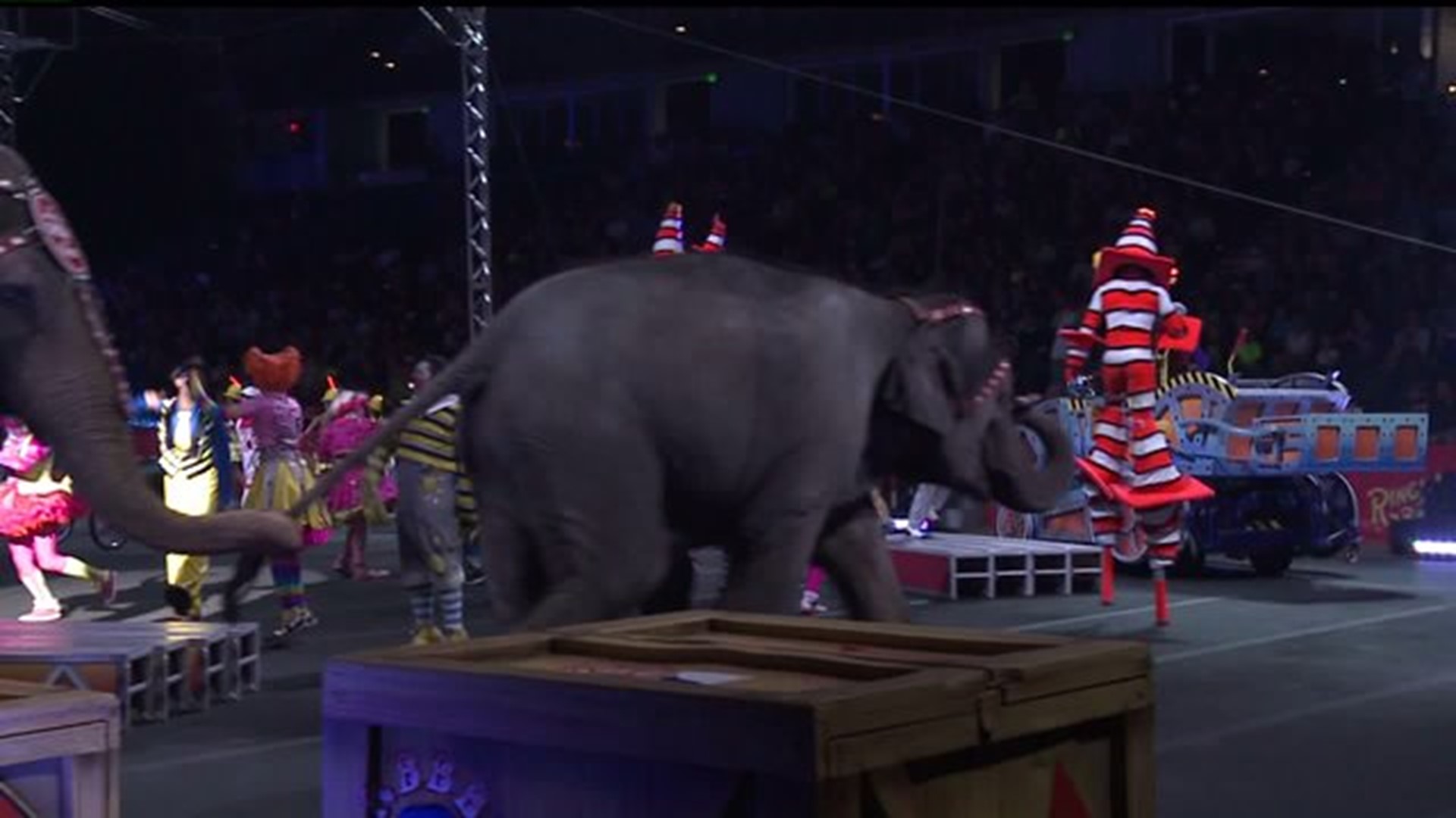 Circus won`t stop in Quad Cities in 2016