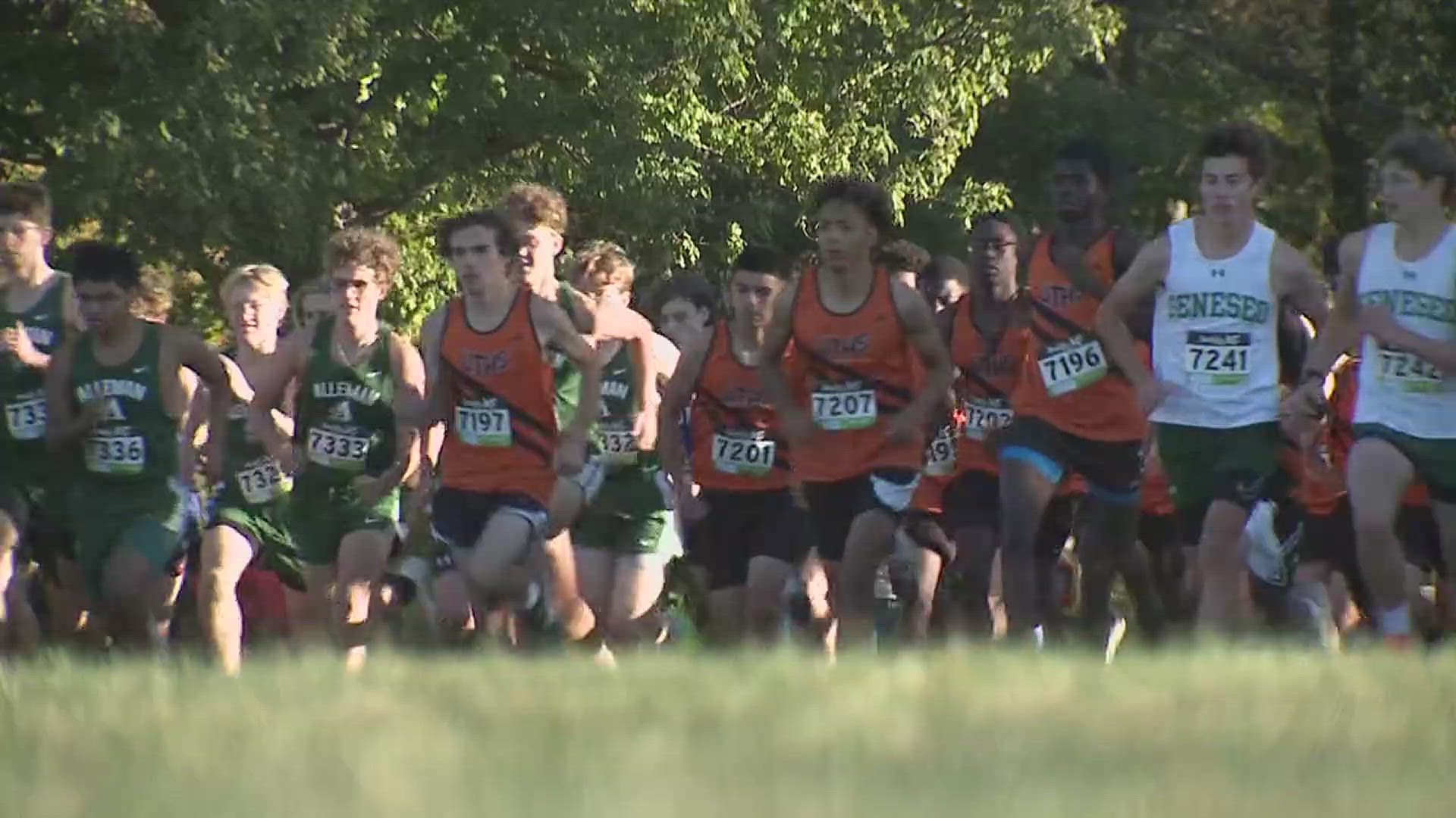 Western Big 6 cross country runners competed in the conference championship Thursday. Geneseo's Dylan Gehl and Quincy's Peytol Kuhl won the individual titles.