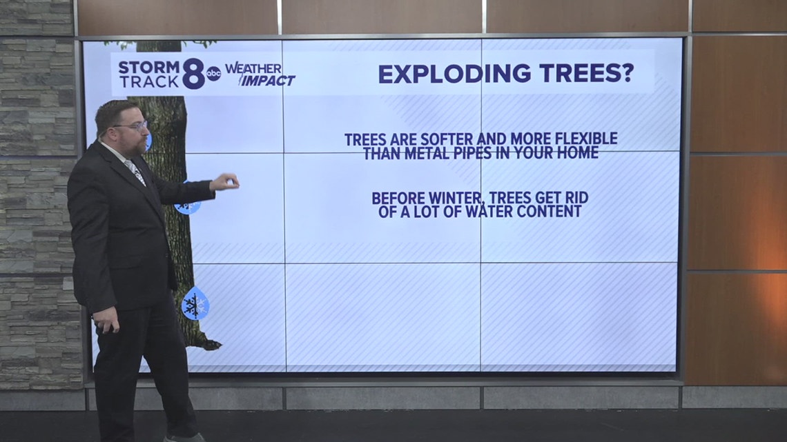 Ask Andrew Can trees explode from freezing during cold weather