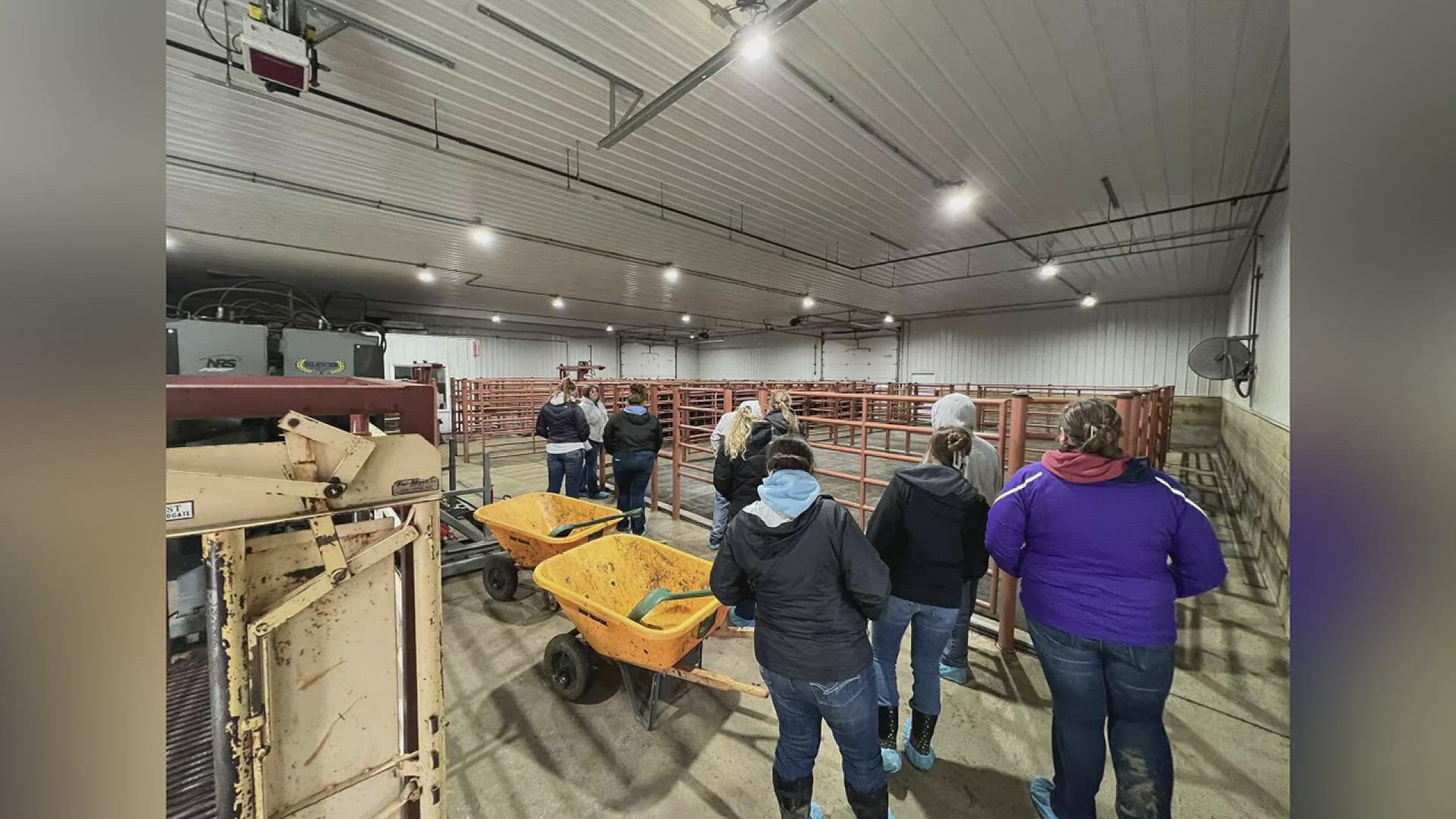 11 students were able to take tours of beef facilities across the Dakotas and Iowa.