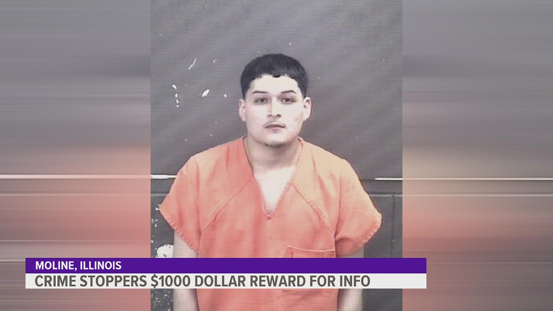 An arrest warrant has been issued for 23-year-old Edgar Alonzo-Rosales of Moline; he is wanted for attempted murder after fleeing from a shooting.