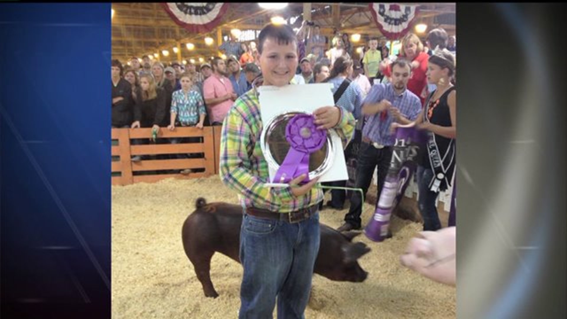 Grand champion junior barrow from Henry County