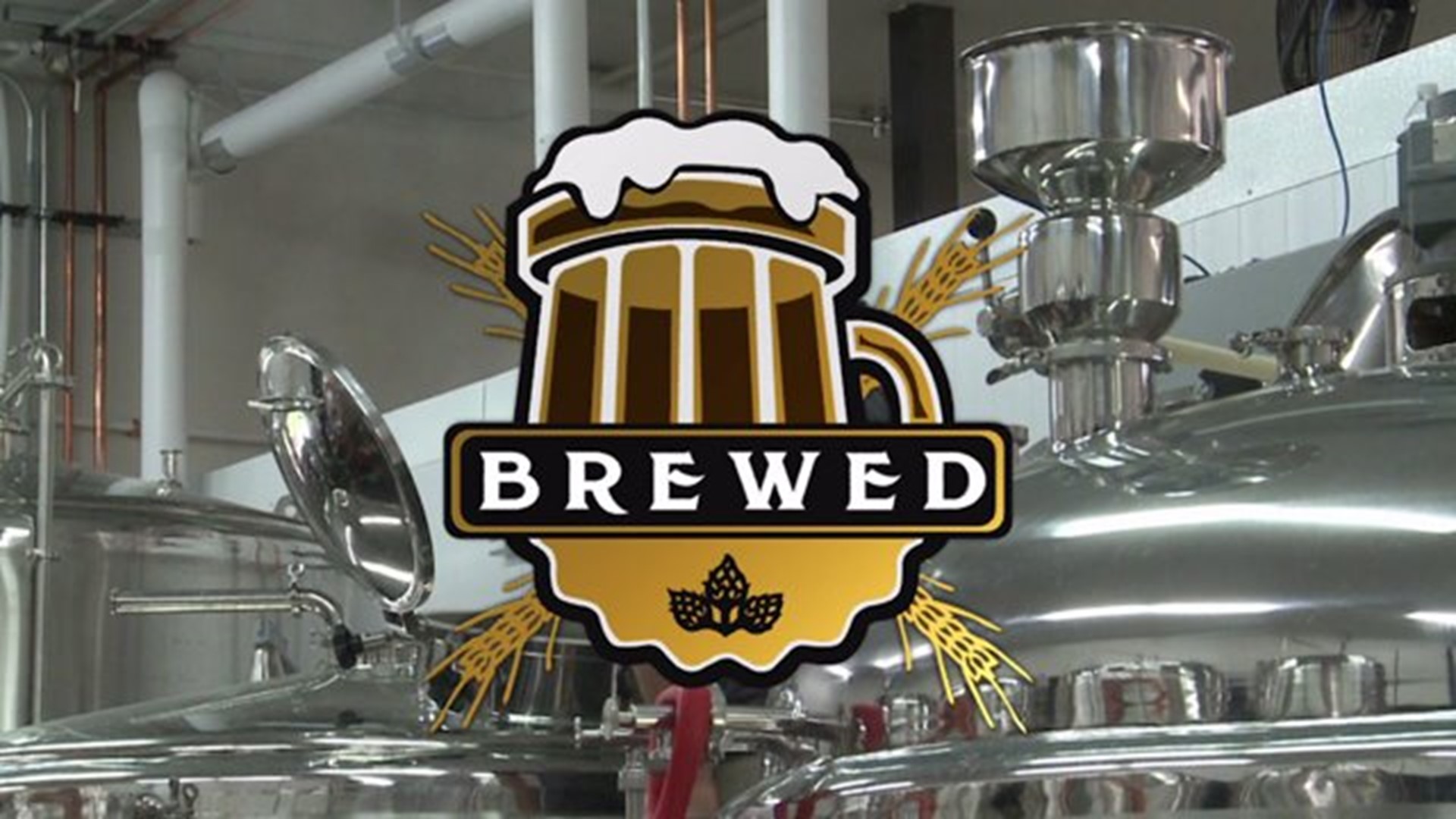 Brewed; Episode 5 - Lionstone Brewing Company