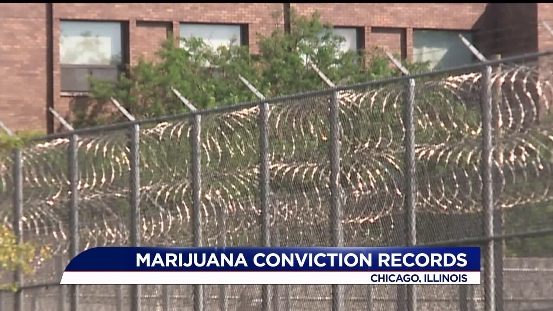 Marijuana convictions expunged
