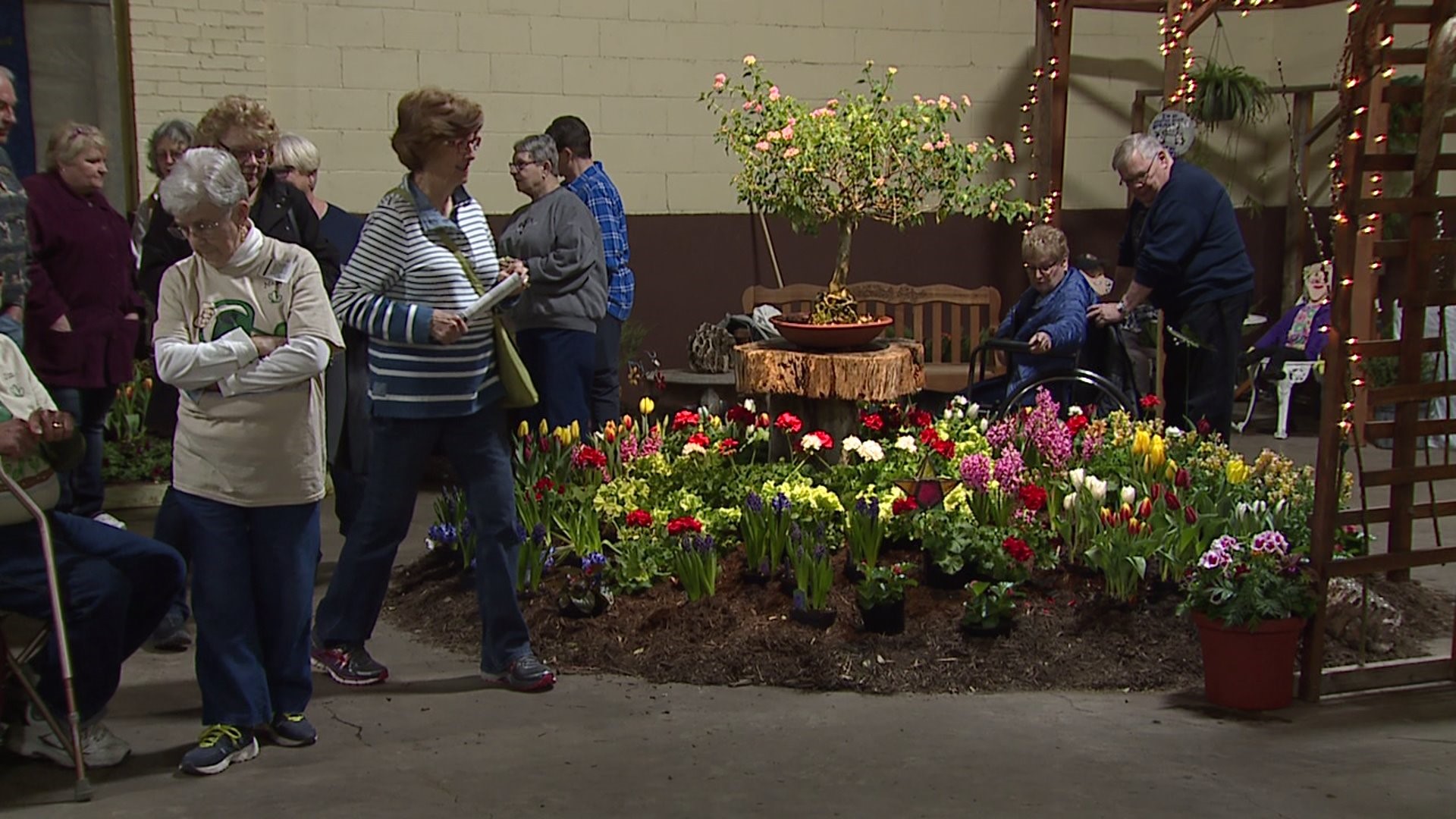 Flower and Garden show preview 1