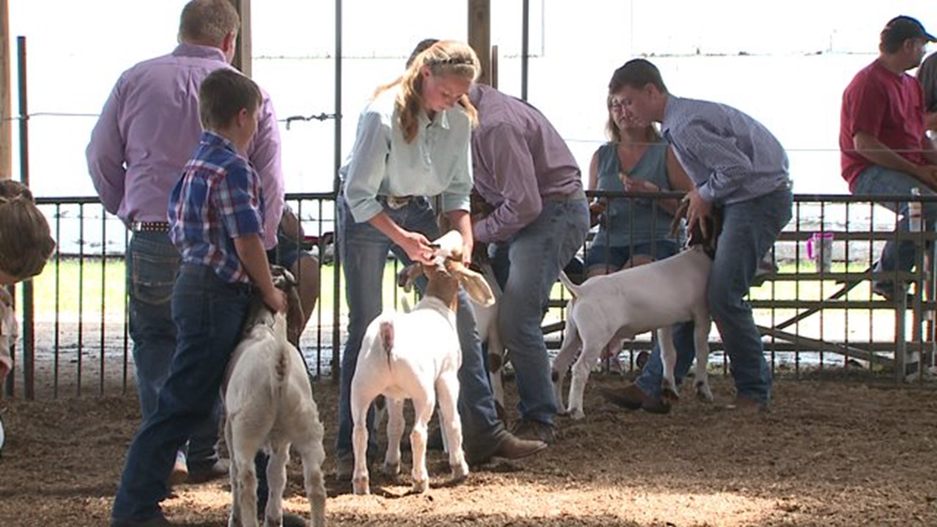 Knox County Fair keeping tradition alive despite state budget uncertainties