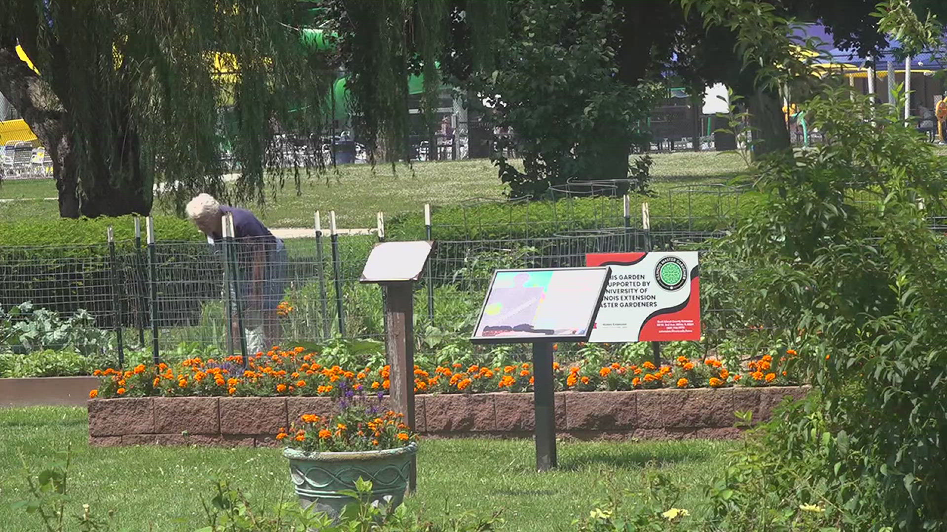 The University of Illinois Extension marked the milestone with a Moline garden tour highlighting food donations and pollinator outreach.
