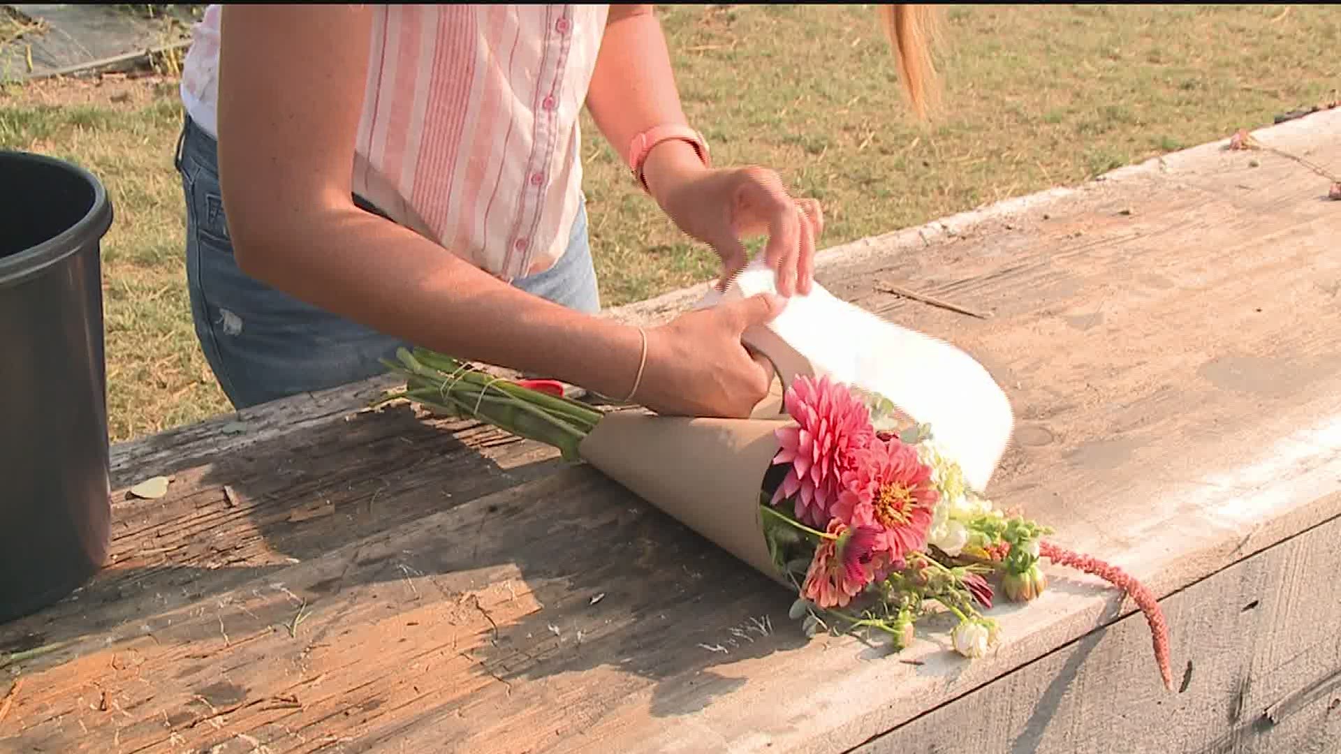 A year of success for first-time flower farmer in Geneseo.