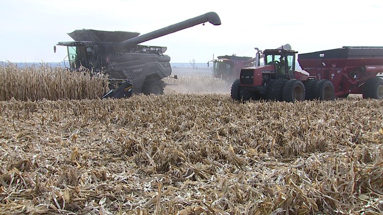 'This is a win-win' | Year-round E15 sales could benefit local farmers, drivers