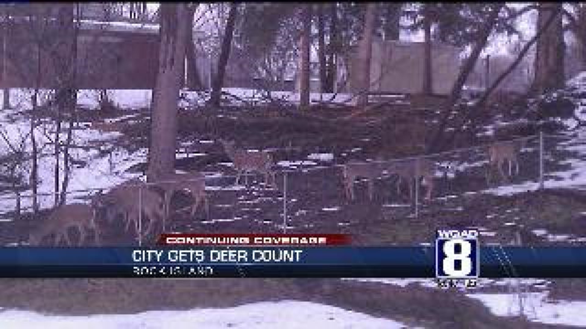 RI Deer Population