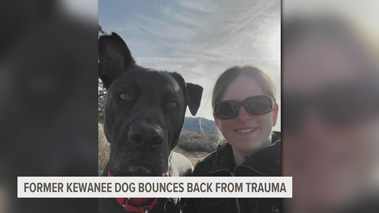 Remember this puppy from Kewanee? He's now living his best life in Colorado