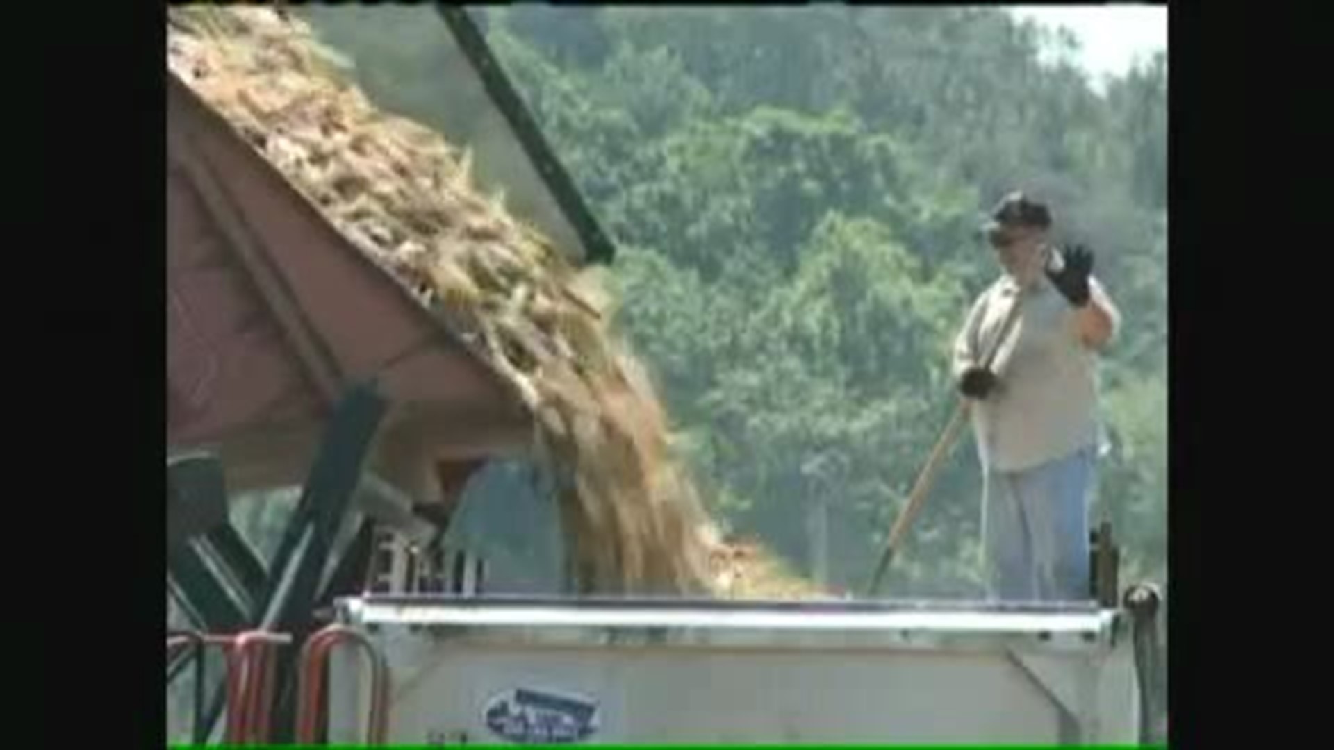 Early corn harvest is a way of life at Munson Hybrids