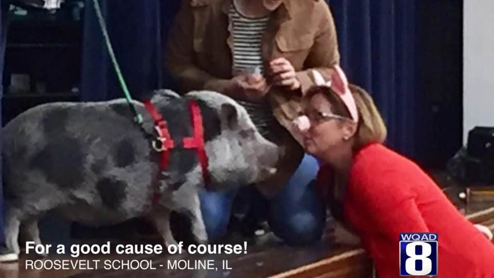 Teachers kiss pig for hunger drive