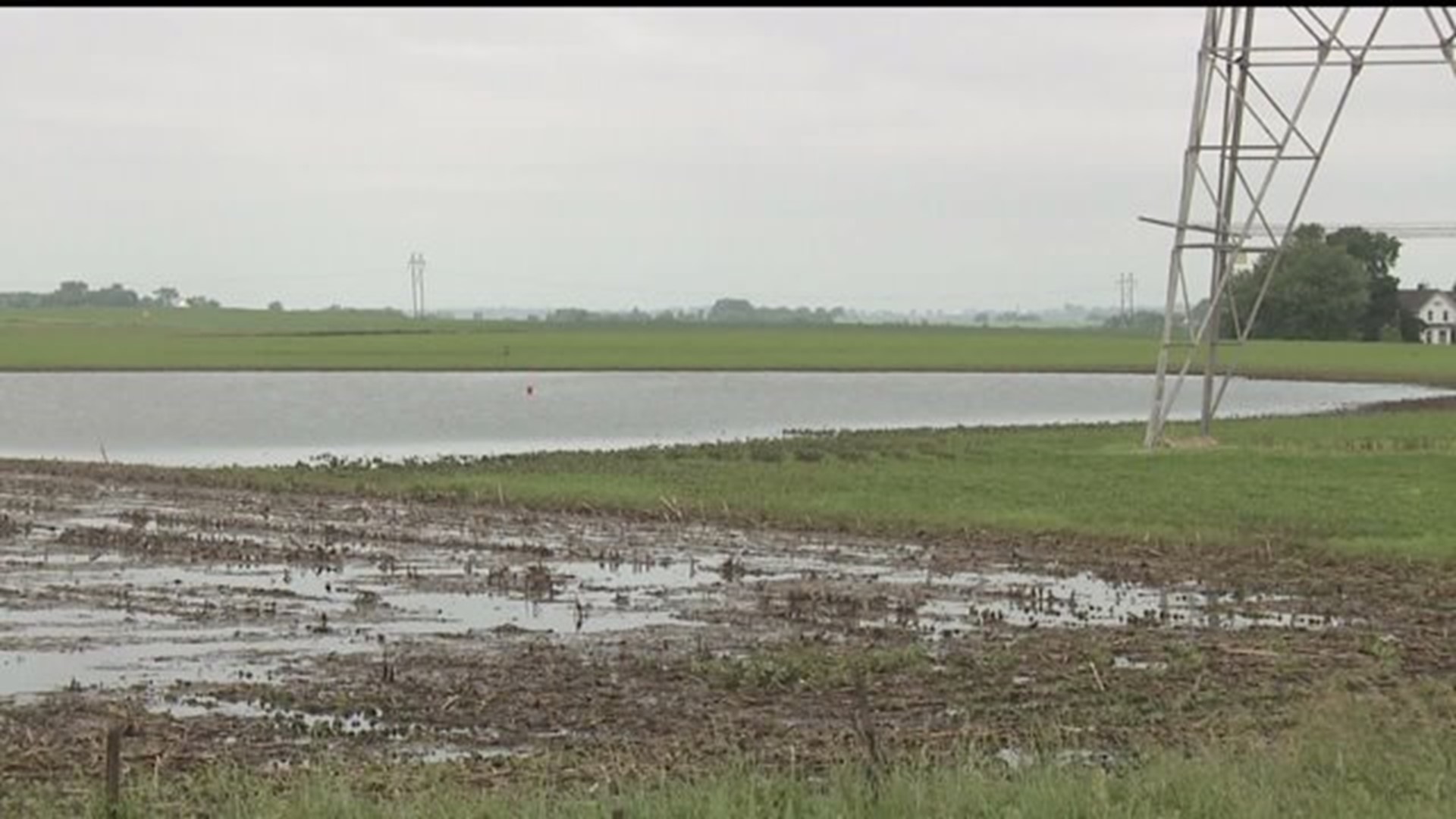 Farmers faced with question of replanting after heavy rains
